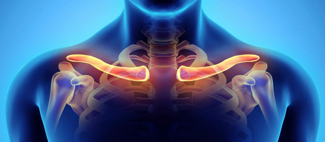 La clavicule, un os discret mais essentiel